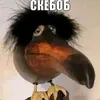 o0_skebob_0o