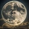 ahmed.hany1376