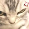 saralee_31