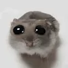 legrendier1