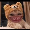 chim.longchay1