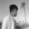 z1k.__