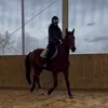username1204110