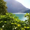 lory.lory793