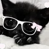 _bhann_11