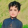 user132519066052