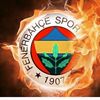 lmne.fenerbahe87
