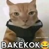 el_silahkan3