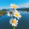 nhaccamxuc11