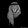 naweed.ahmedi