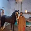 said.messabihi
