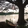 tanha_15_30