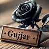 gujjargirl843