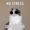 memes.on.peak
