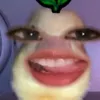 lyndhy6
