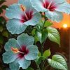 binod.mondal0