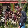 jangangamuk