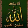 salmaalhusayn.alh