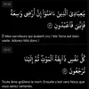 ibrahim_yf
