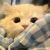 tasya.azjahra30