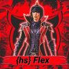 hs_flex2