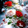 jawid4876