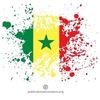221+🇸🇳