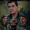 محمد علي
