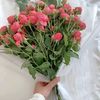 sarr4560