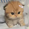 2_suzyy_8