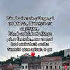 vasile_vasile_0