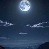 user95612997421810