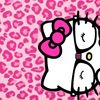 dassh507