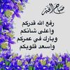 user66147970116032