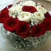 user9454130804722