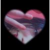 angie_21394