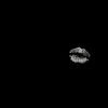 secret.life.of_.izzy