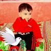 muneeb.khan4138