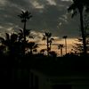 le_hamza25