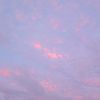 purple.ocean639