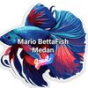mario_bettafish