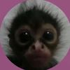 appleuser25632851