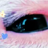 milessa.mae