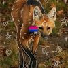 fennec_fox16453