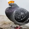 pixelperfectdustparticle