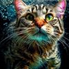 animal.lovers593