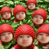 chonnapha.kaewtuy