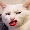 gossipplace9x