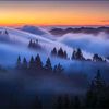 fog88790