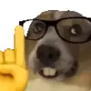 dkamayne0